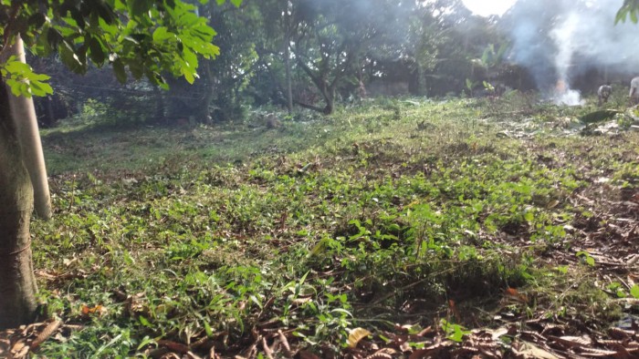 Tanah dijual di Kebagusan Pasar Minggu Jakarta Selatan